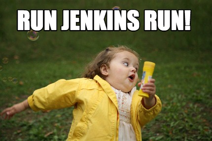 Dvir a jenkins run